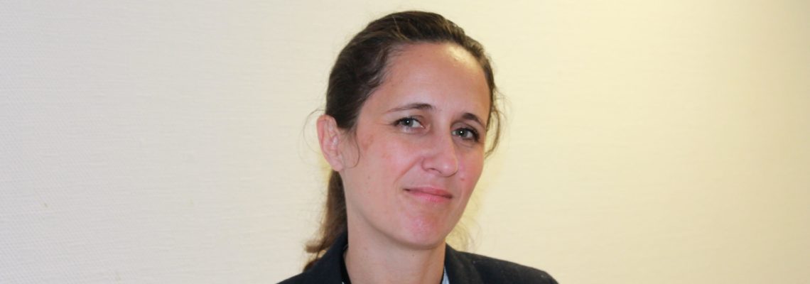 Création et valorisation de données : SOGEFI occupe le terrain
