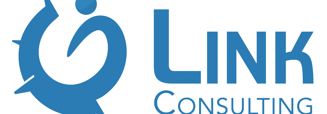 Link Consulting bâtit son réseau