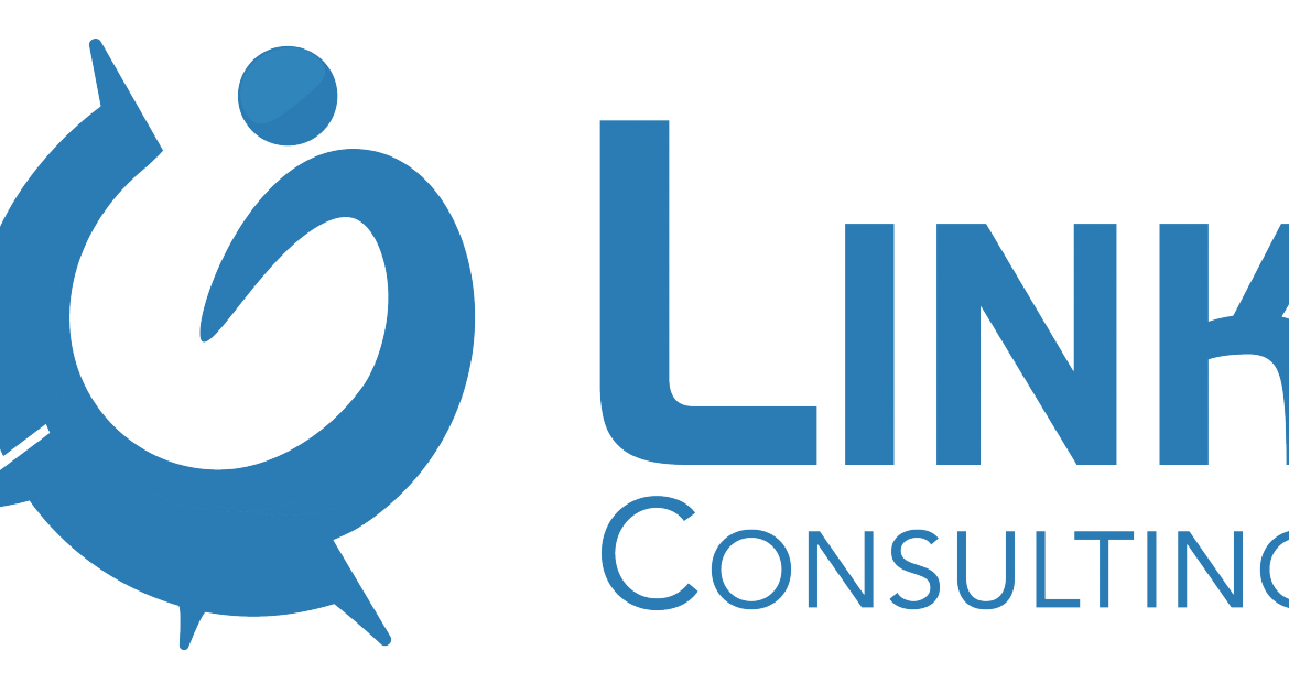 link-consulting-batit-son-reseau