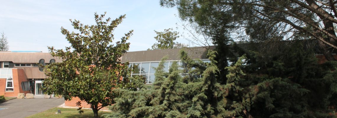 Quand agriculture et innovation se conjuguent