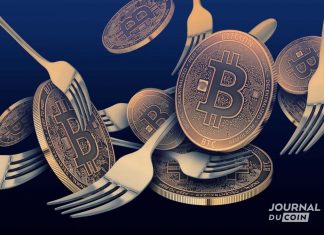 bitcoin-de-la-speculation-a-la-mise-en-oeuvre