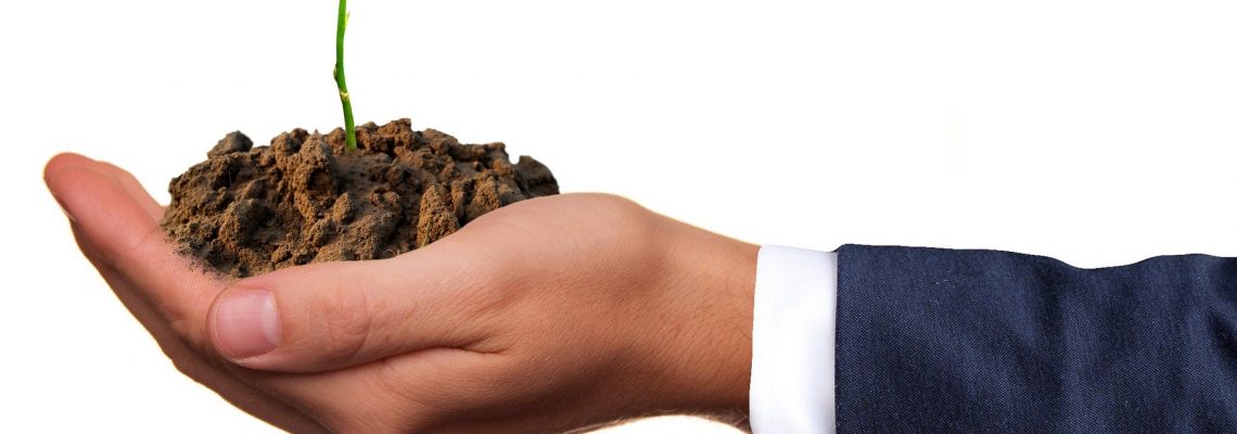 OCSEED, le nouvel outil d’investissement pour le développement des start-ups en Occitanie